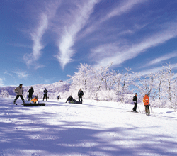 Yongpyeong Resort