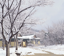 Korean Folk Village