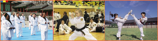 Taekwondo Experiential Program