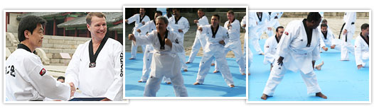 Taekwondo Experiential Program