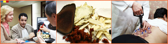 Oriential Medicine Tours