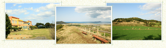 Siheung Elementary School to Gwangchigi Beach (Total 15km, 5-6 hour trip)