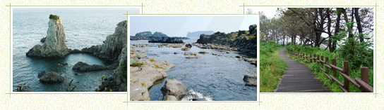 Route 7: Oedolgae Rock to Wolpyeong Port (Total 15.1km, 4-5 hour trip)