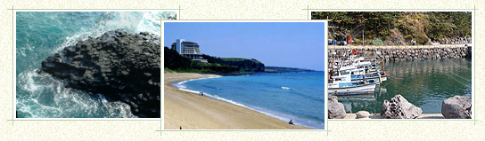 Wolpyeong to Daepyeong Port (Total 17.6km, 5-5hour 30min trip)