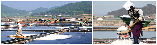 Taepyeong Salt Farm