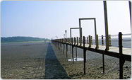 Jjangttungeo Bridge