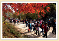 Dutayeon Pond Trekking