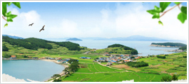 Eco-Tourism