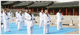 Taekwondo