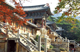 Suggested Itineraries