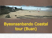 Byeonsanbando Coastal tour (Buan)