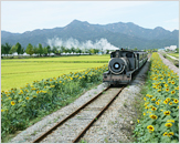 Seomjingang River Train Village (섬진강 기차마을)