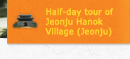 Half-day tour of Jeonju Hanok Village (Jeonju)