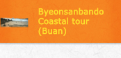 Byeonsanbando Coastal tour (Buan)