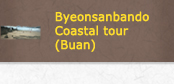 Byeonsanbando Coastal tour (Buan)