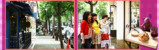 Garosugil street (the tree-lined street) in Sinsa-dong