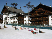 Sleds