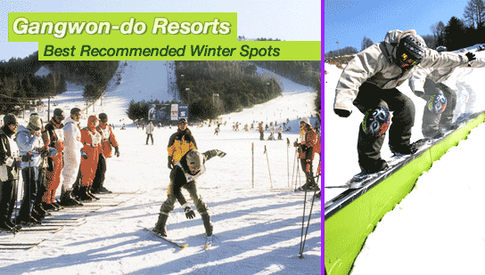Gangwon-do Resorts: Best Recommended Winter Spots
