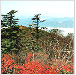 Mt. Odaesan National Park