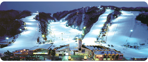 Water Theme Park with Daemyung Vivaldi Park