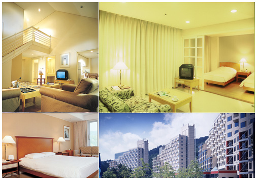 Accommodation