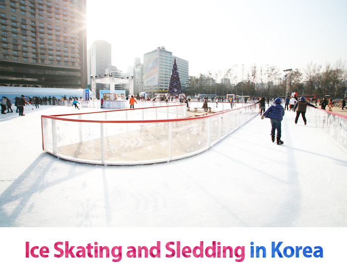 Ice Skating and Sledding in Korea