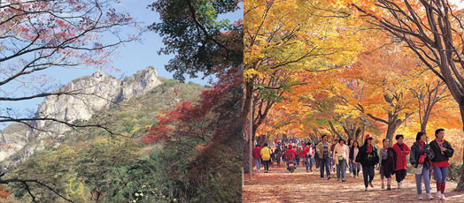 Naejangsan Mountain