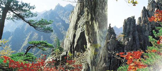 Seoraksan Mountain