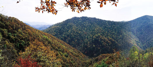 Odaesan Mountain