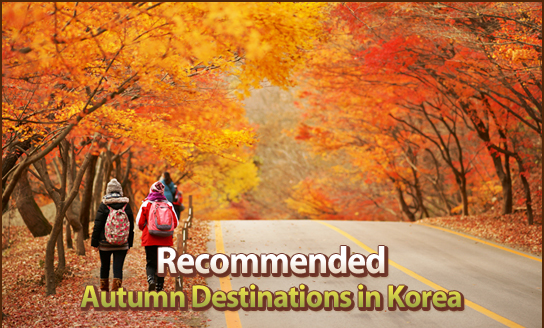 Recommended Autumn Destinations in Korea