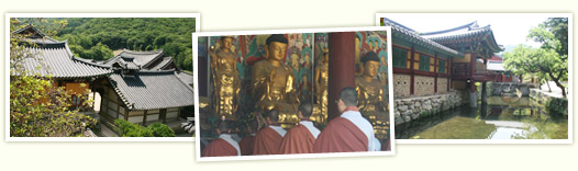 Songgwangsa Temple: one of the three major temples of Korea