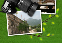 Wonders of nature: Incredible Biodiversity at Suncheonman Bay!