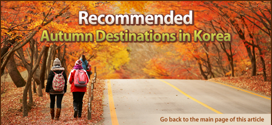 Recommended Autumn Destinations in Korea