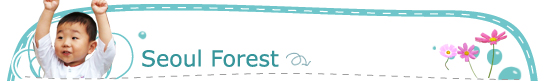 Seoul Forest