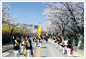 Cheongpunghoban Cherry Blossom Festival 