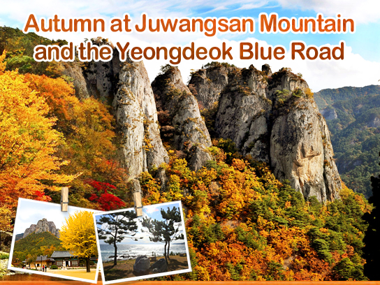 Autumn at Juwangsan Mountain and the Yeongdeok Blue Road
