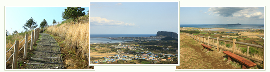 Malmi Oreum (말미오름, A Small Inactive Volcano)