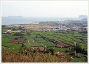 Last milestone of the route: Gwangchigi Beach (광치기 해변)