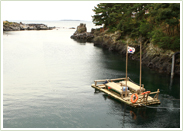 The Starting Point of the Sixth Route: Soesokkak Estuary (쇠소깍)