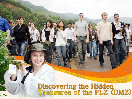 Discovering the Hidden Treasures of the PLZ (DMZ)