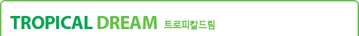 Tropical Dream트로피칼드림