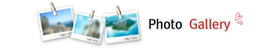 photo gallery