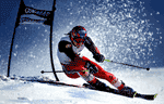 Leisure Sports
