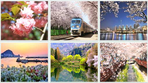 Spring, Season of Budding Flowers
