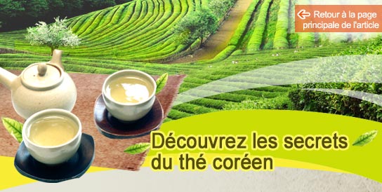 Découvrez les secrets du thé coréen 