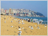 busan haeundae