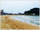 Busan songjeng