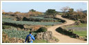 Parcours 13