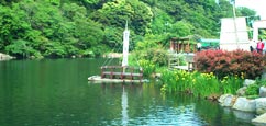 Corée Sud Restauran : Jeju