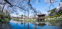 Corée Sud Restauran : Gyeongju 